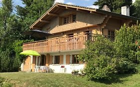 Chalet Les Marmottes