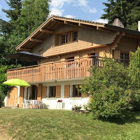 Chalet Les Marmottes Saint-Jean-de-Sixt Buitenkant foto