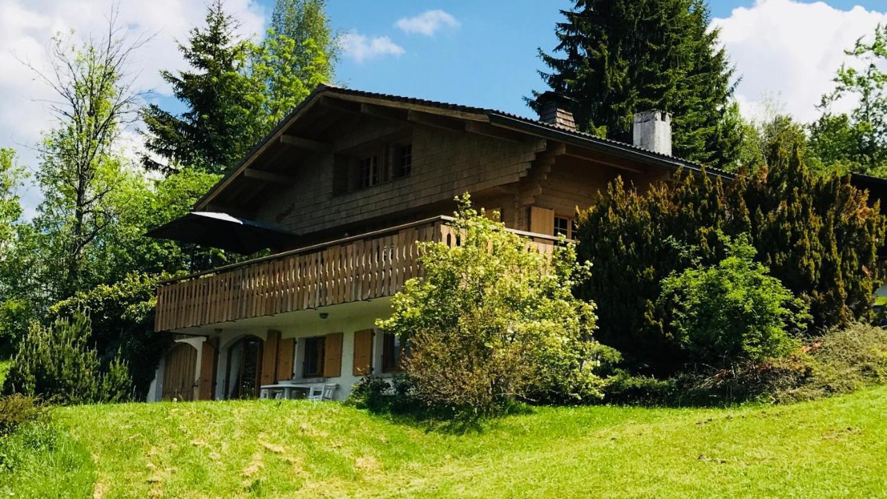 Chalet Les Marmottes Saint-Jean-de-Sixt Buitenkant foto