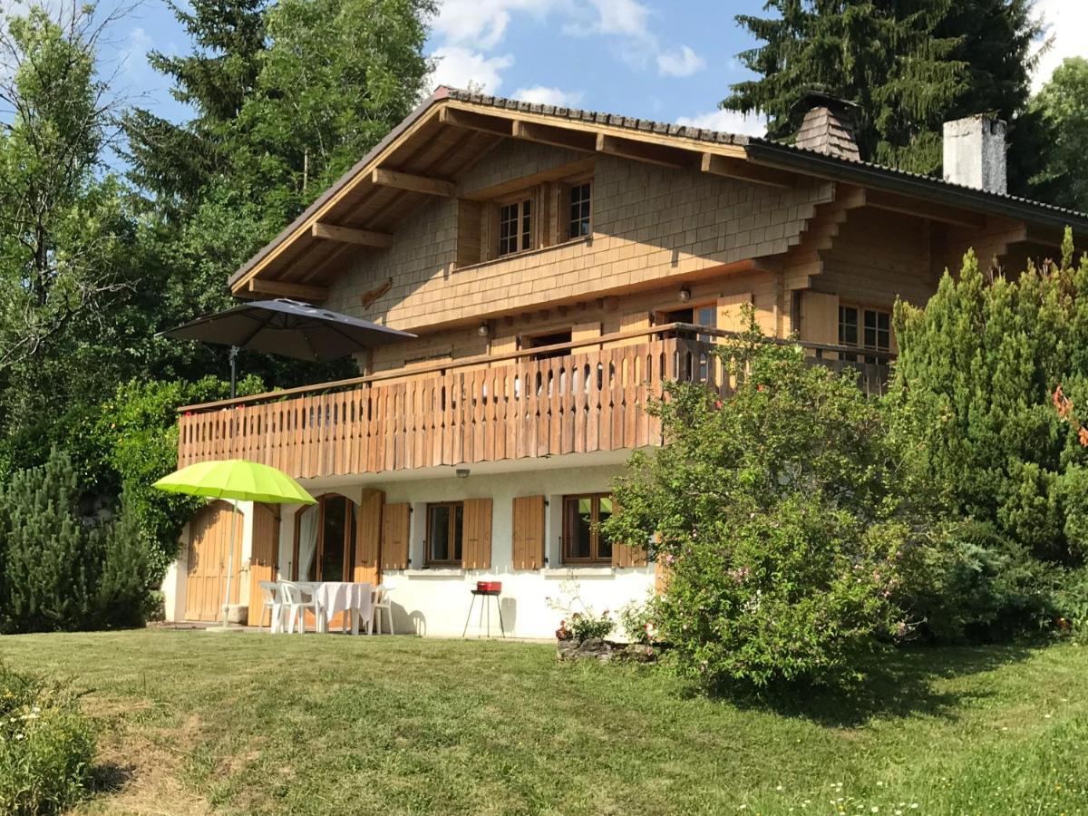Chalet Les Marmottes Saint-Jean-de-Sixt Buitenkant foto