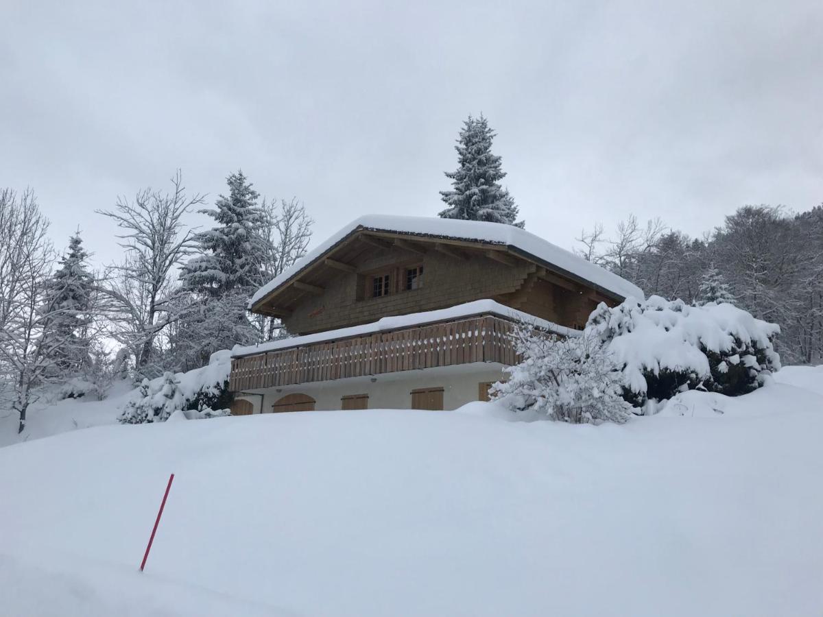 Chalet Les Marmottes Saint-Jean-de-Sixt Buitenkant foto